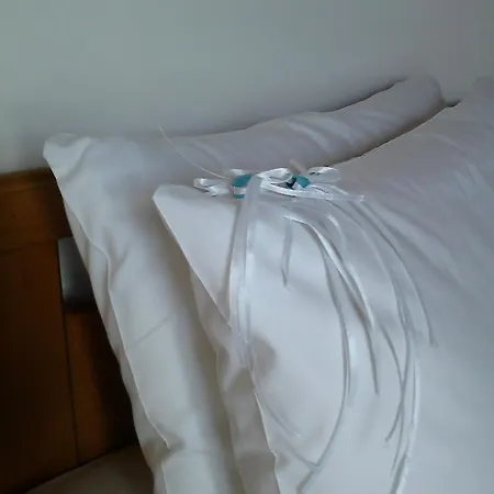 Celebrity 2* 아르고스톨리온